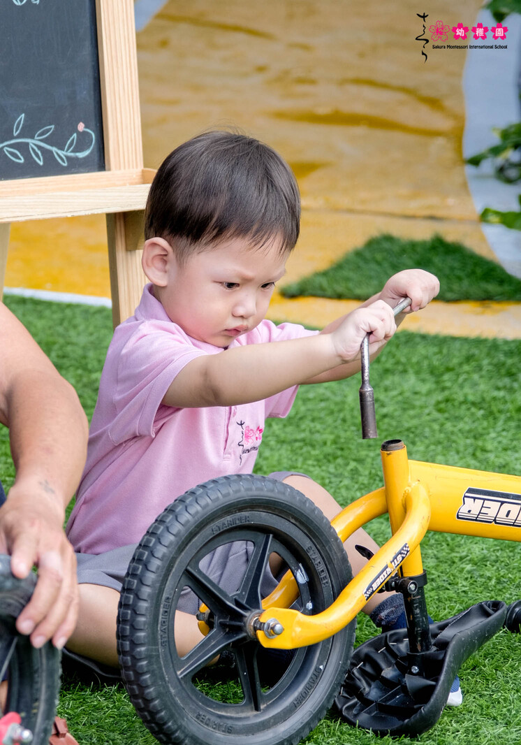 Chương trình âm nhạc Orff - Phát triển thông minh qua âm thanh