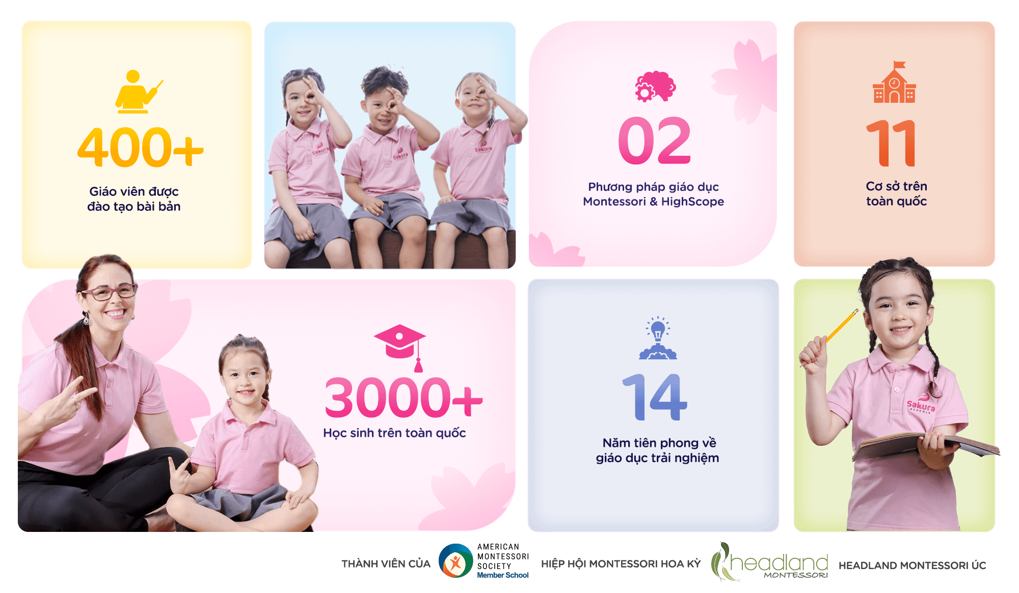 Sakura Montessori - Môi trường giáo dục tốt nhất